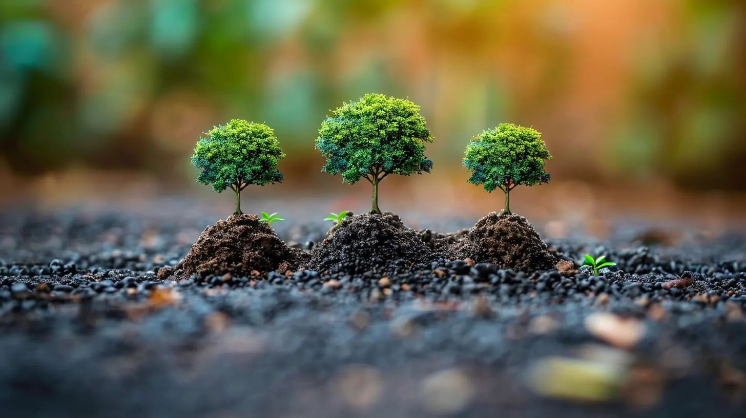 How Colleges are Addressing Sustainability and Climate Change