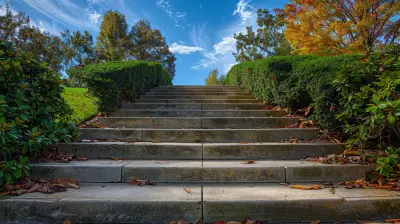 Understanding the College Accreditation Process