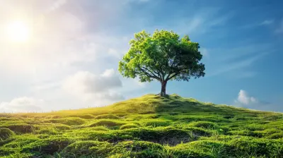 Using Nature Inspired Activities For Environmental Education