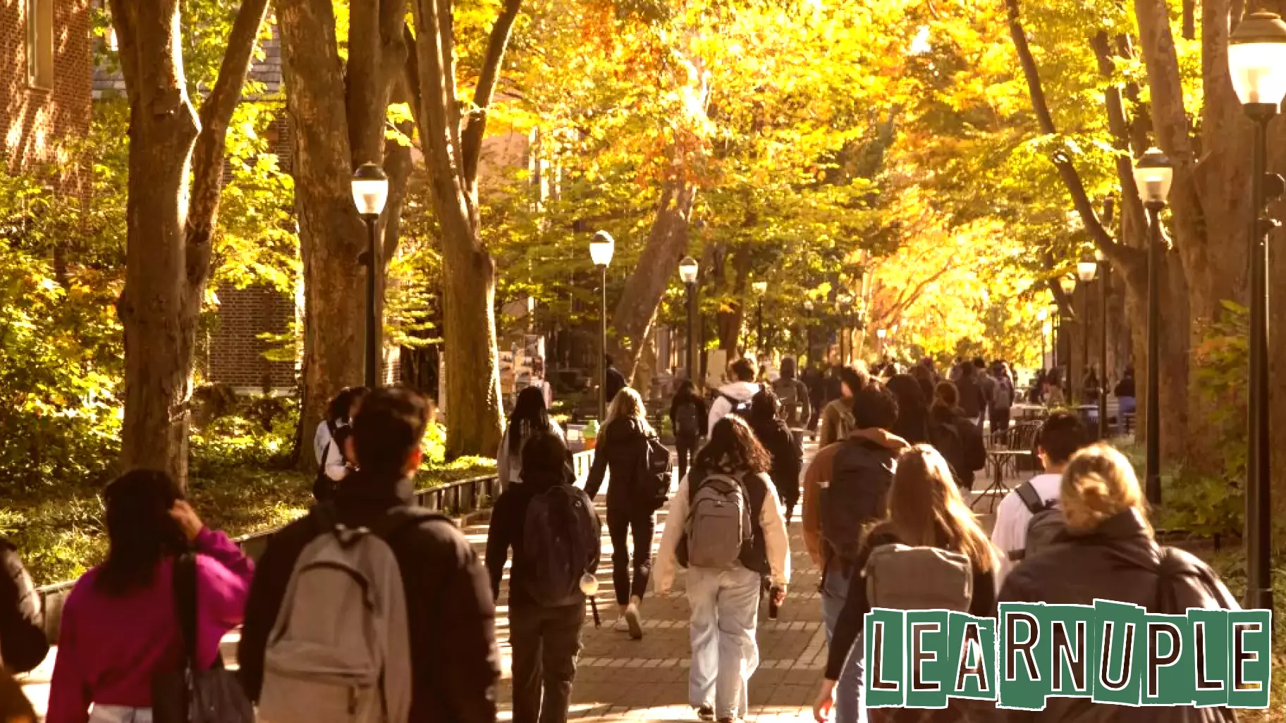 A Call for Constructive Dialogue in Higher Education
