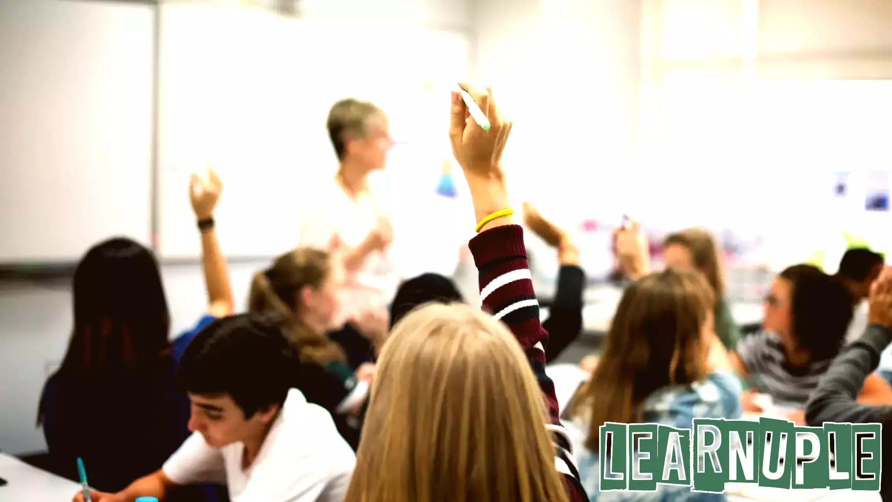 Advancing Civic Knowledge in California: Insights from Experts