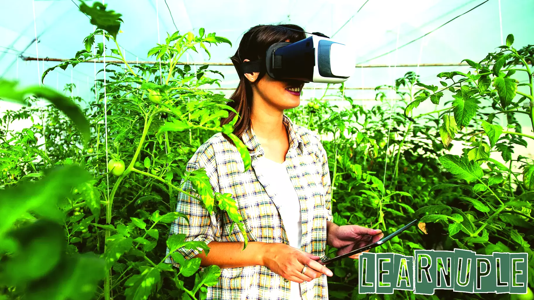 AI to Support Neurodivergent Learners in Vocational Education and Training