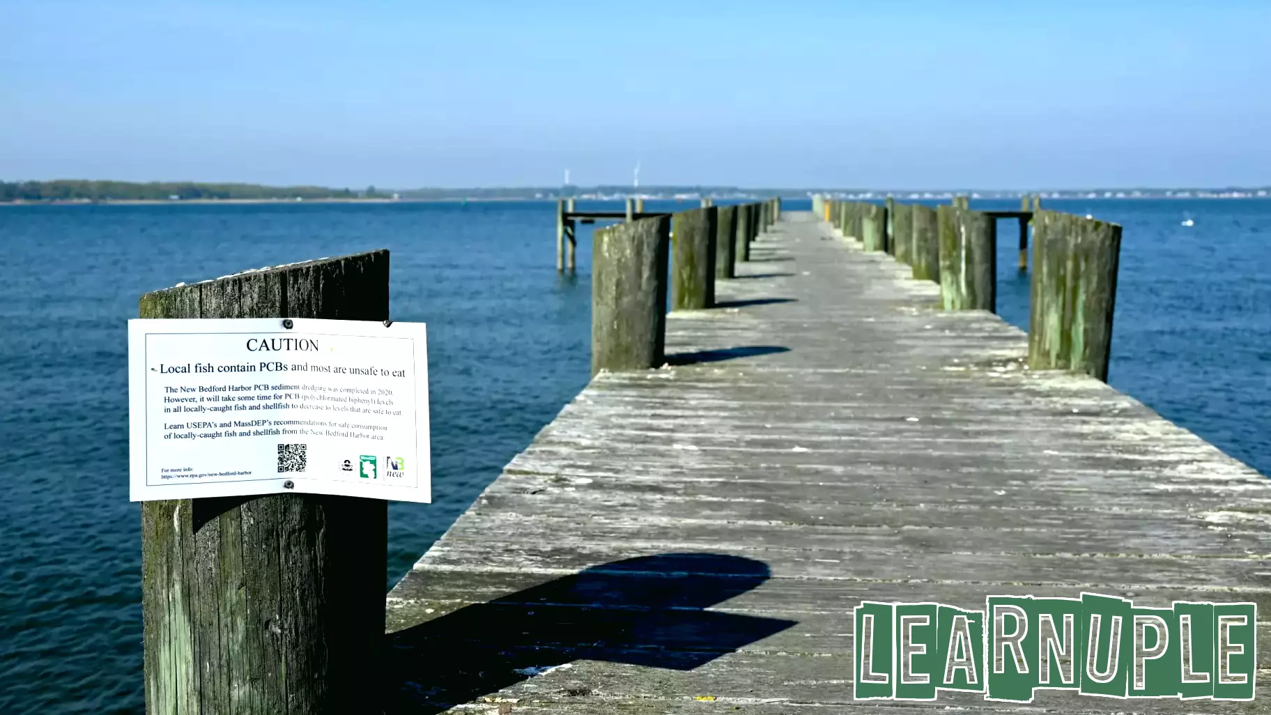 As harbor cleanup winds down, education around toxic seafood continues