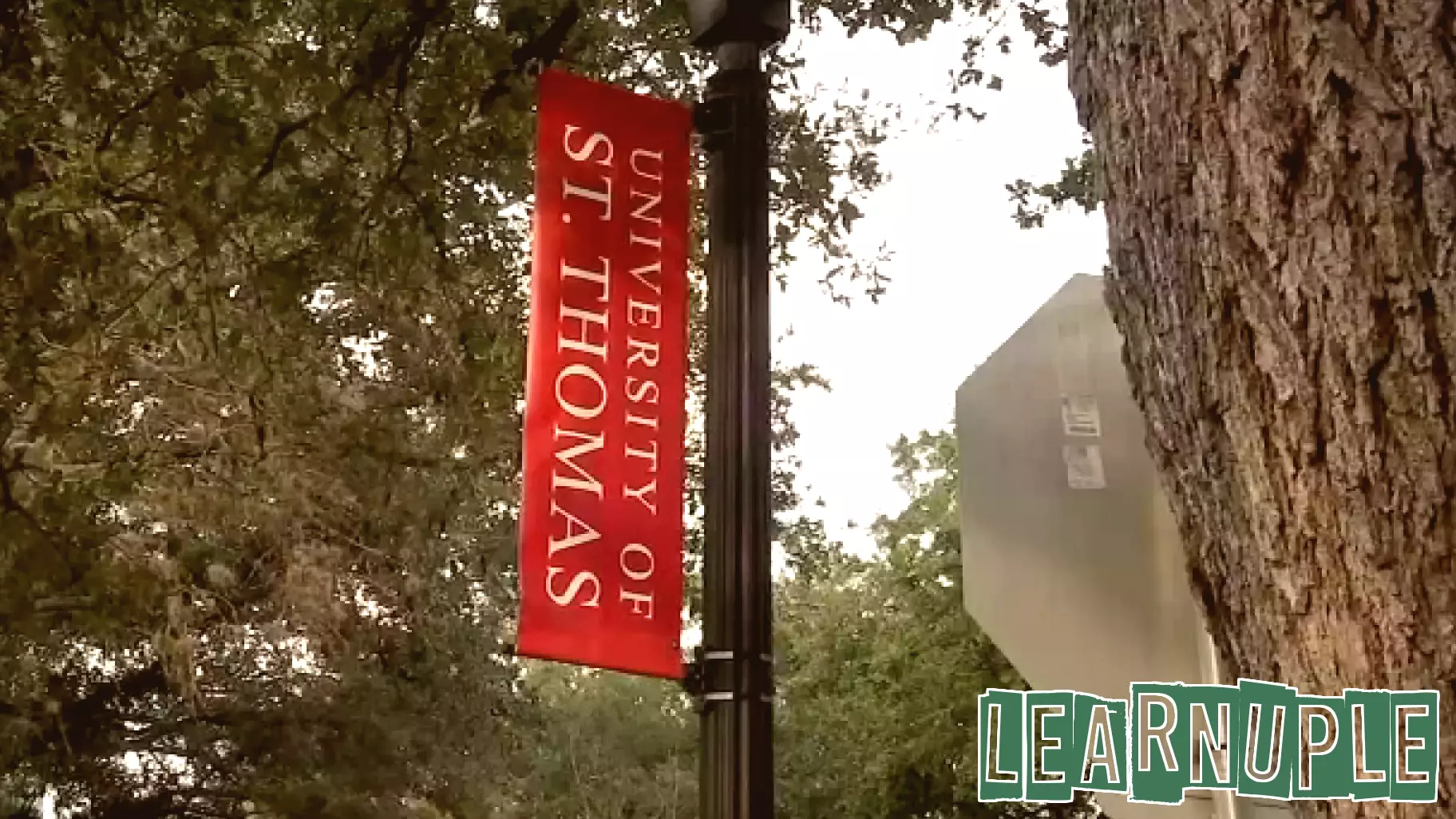 Concerns Rise as University of St. Thomas Revamps Special Education Program