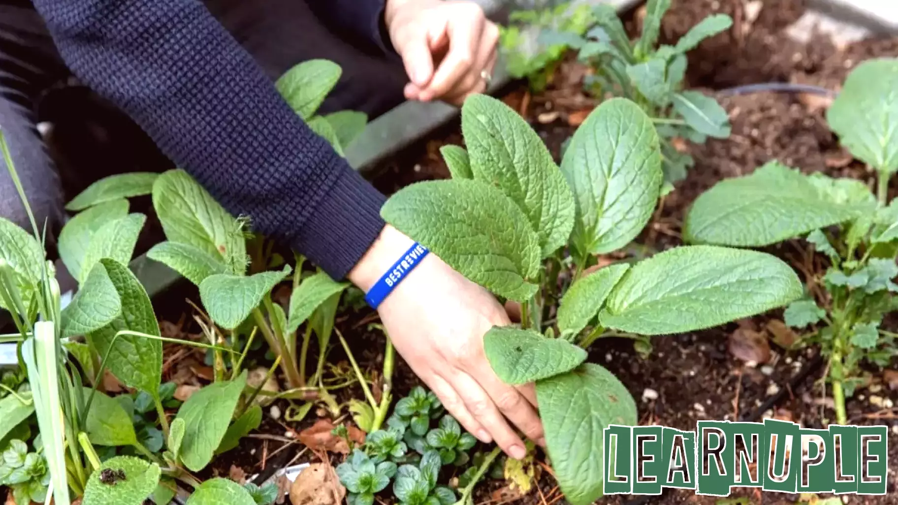 Construction Underway for Hudson's ReGeneration Campus