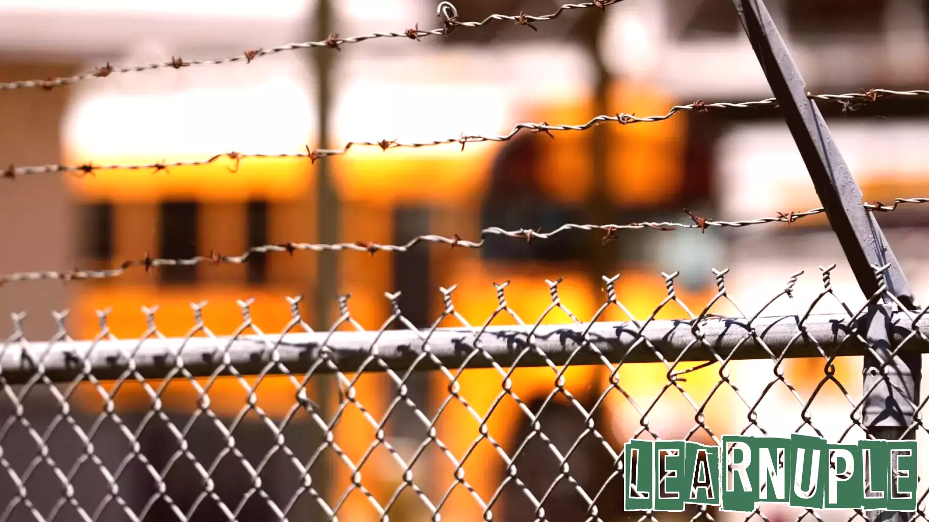 Federal Judge Challenges Trump's Move to Overturn 1960s School Desegregation