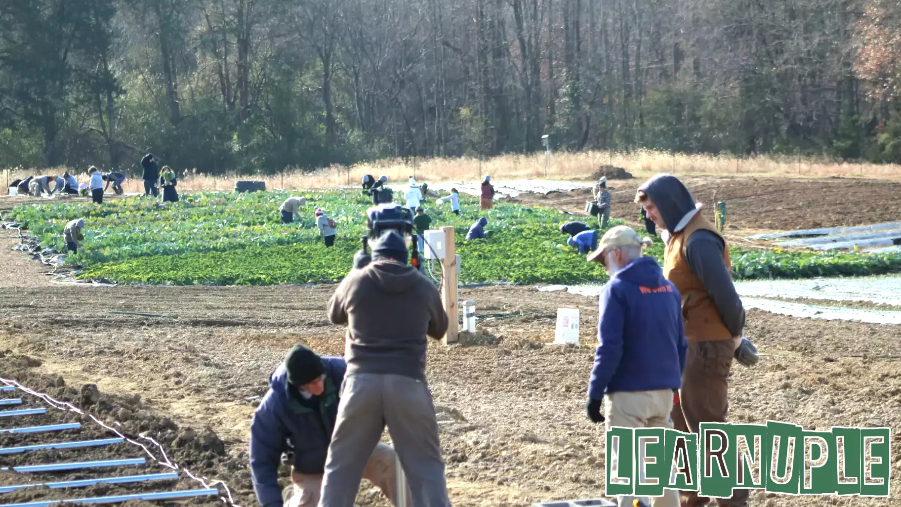 Final Harvest of 2025 Marks a Successful Year at Rappahannock Education Farm
