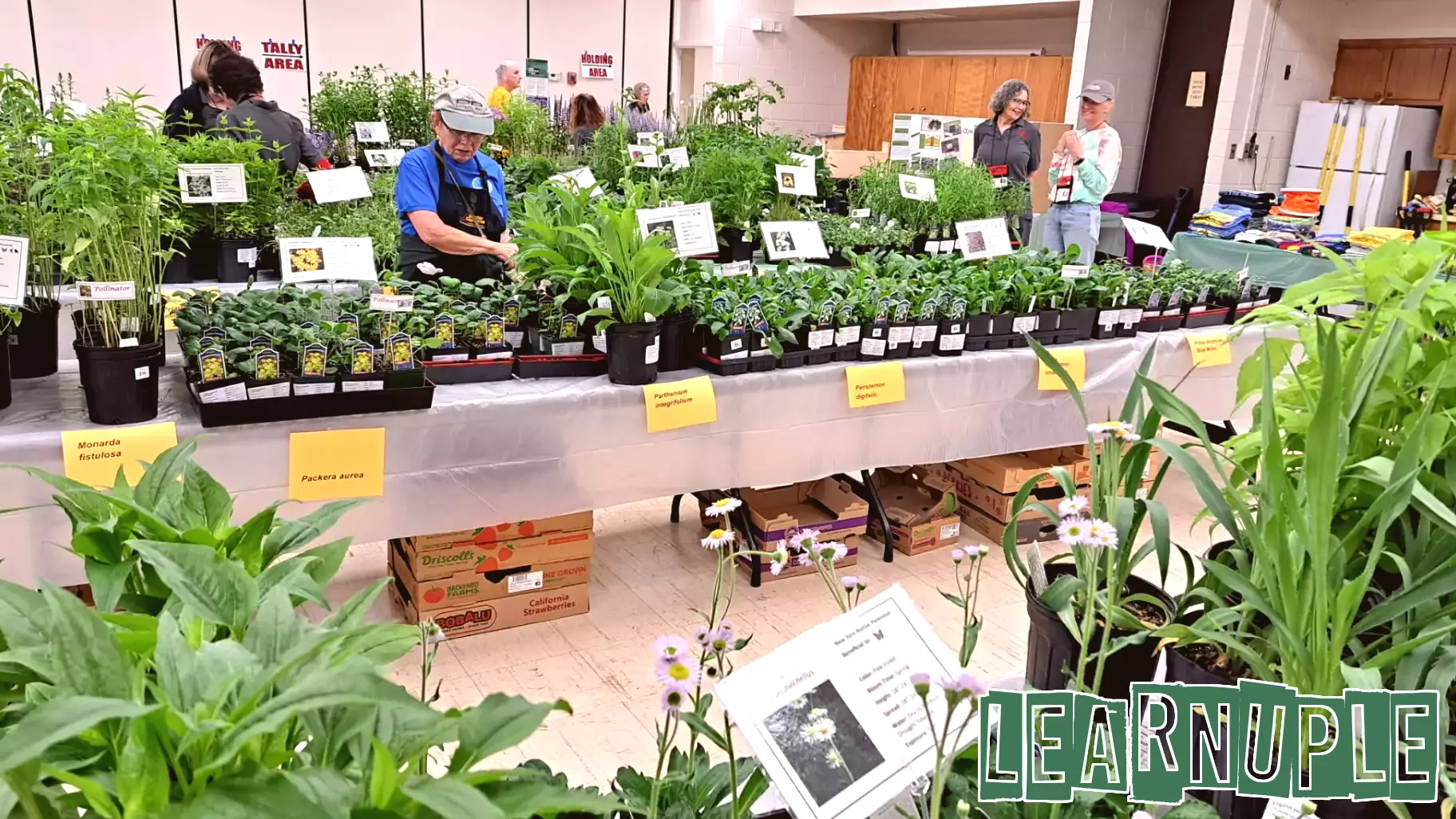 Free Garden Education Fair Offers Fun and Learning in Voorheesville