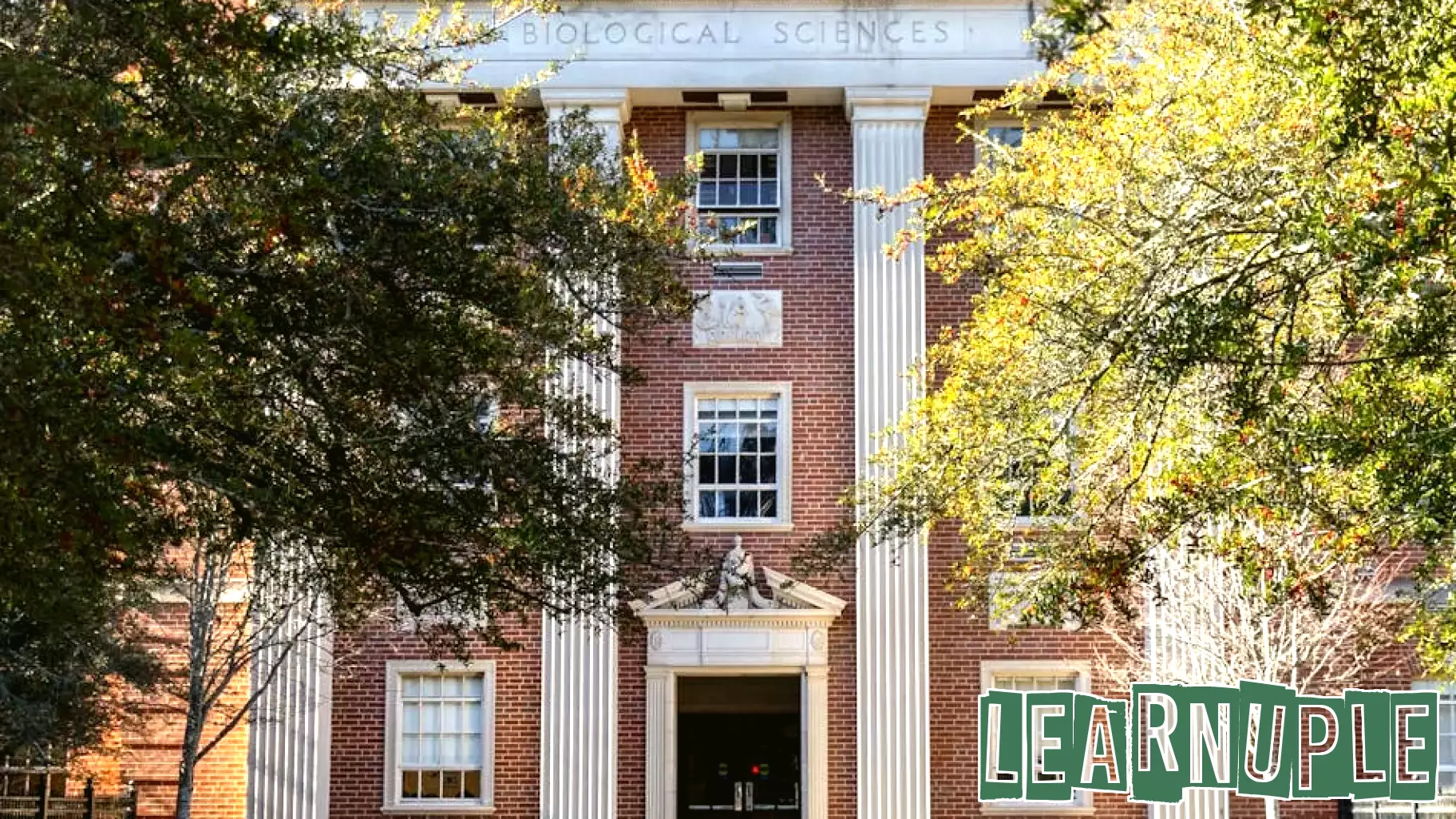 Higher Education Institutions Rally Against NIH Funding Cuts