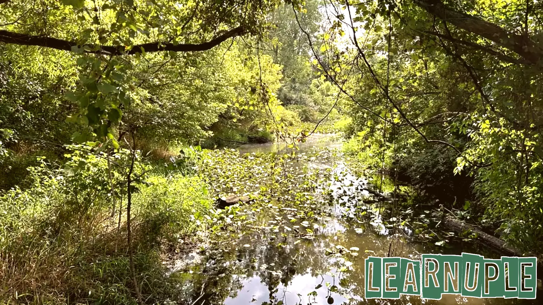 Ohio EPA Allocates Over $336,000 for Environmental Education Initiatives