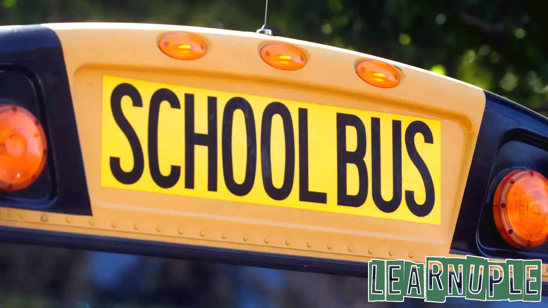 Proposed Legislation Aims to Scrutinize School Bus Costs in Connecticut