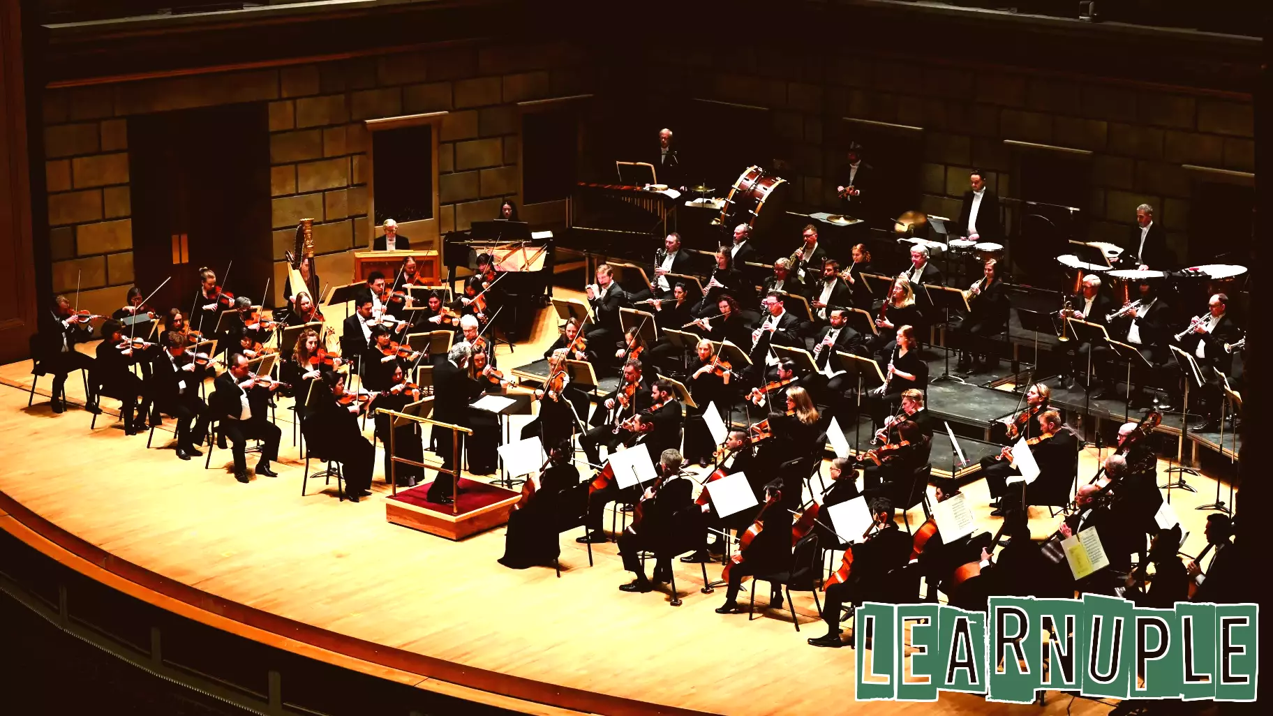 Rochester arts grants take aim at city school music education