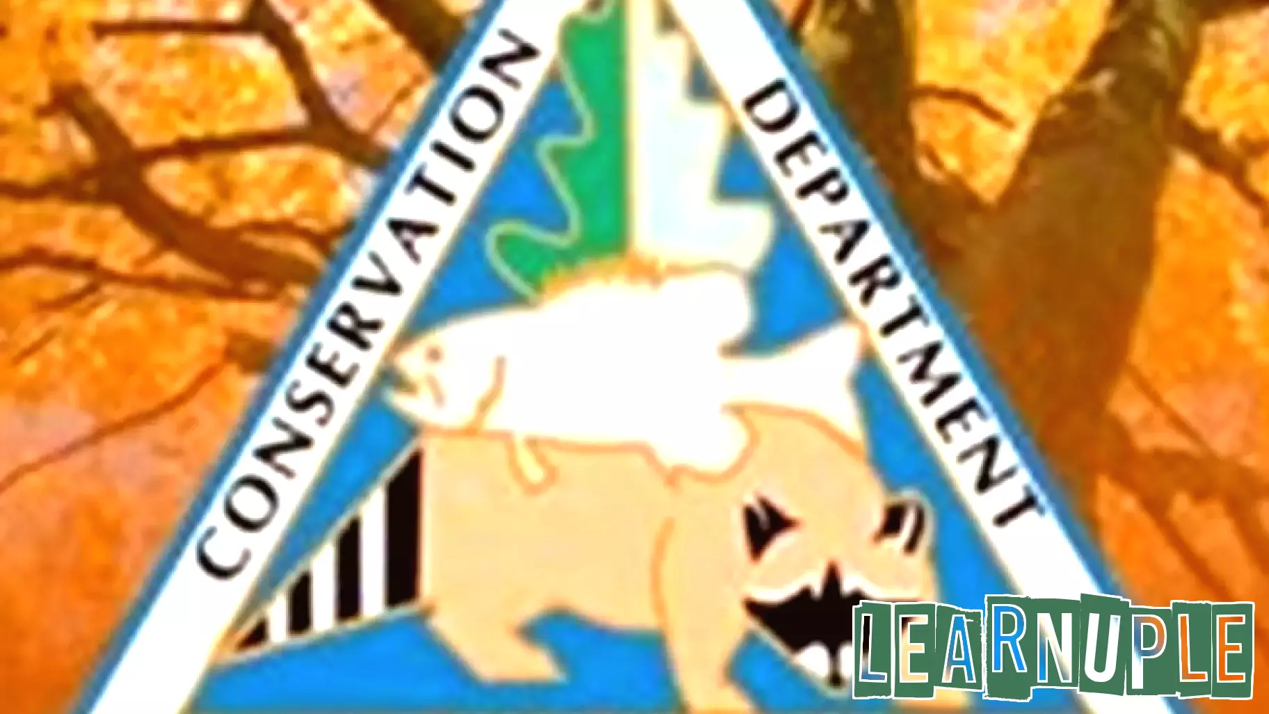 Spring Hunter Education Courses Set to Begin in the Ozarks
