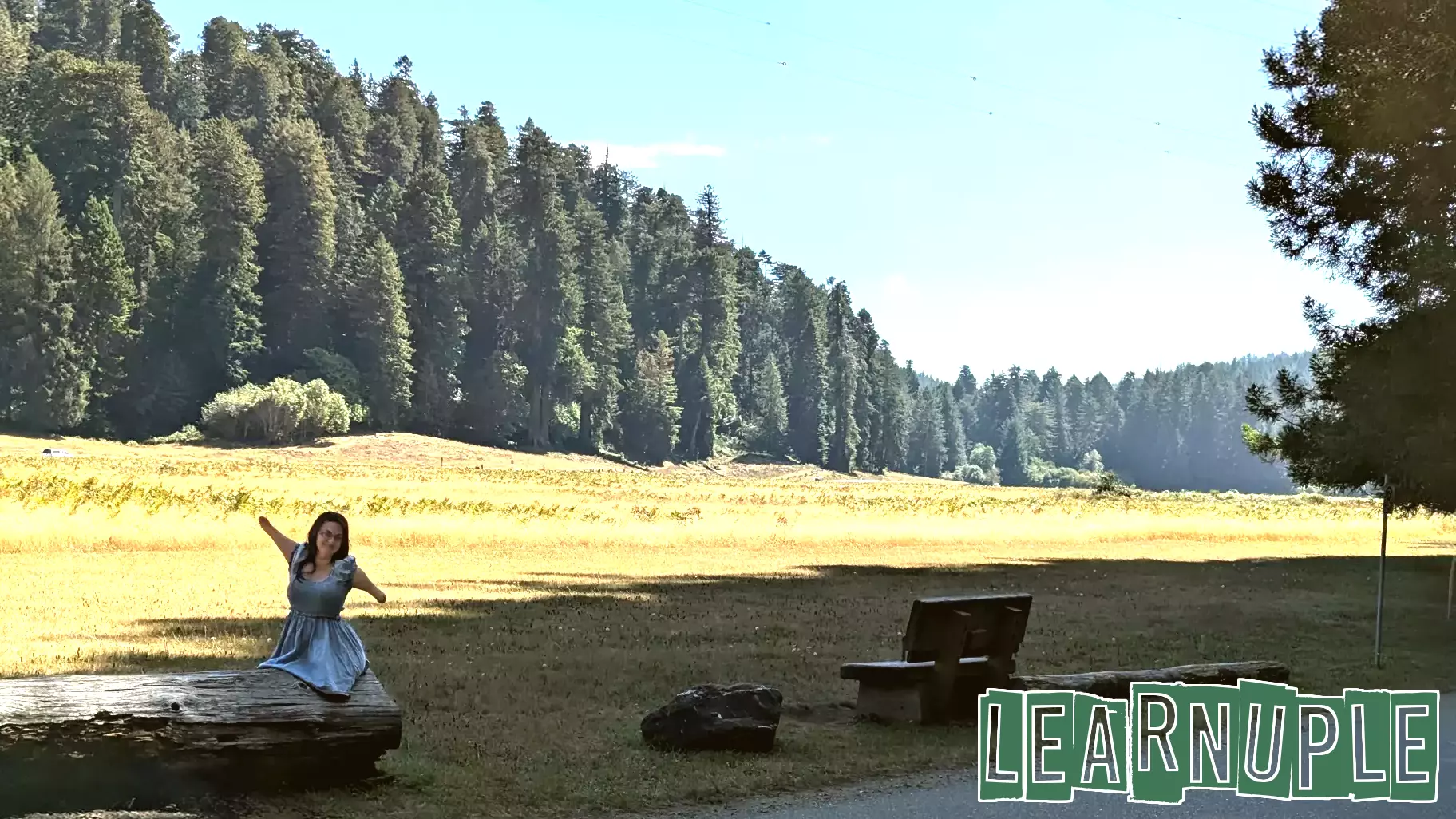 Voyager Scholar Pioneers Accessibility in Travel and Education