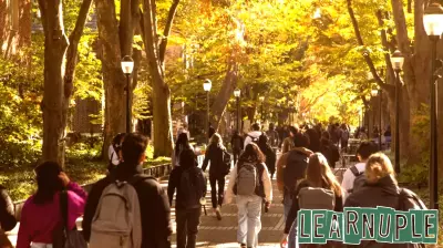 A Call for Constructive Dialogue in Higher Education