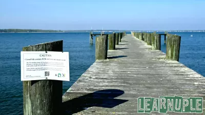 As harbor cleanup winds down, education around toxic seafood continues
