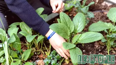 Construction Underway for Hudson's ReGeneration Campus