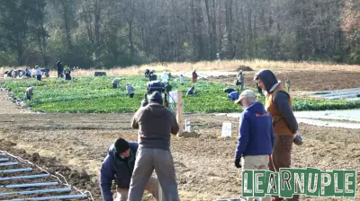Final Harvest of 2025 Marks a Successful Year at Rappahannock Education Farm