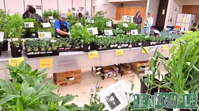 Free Garden Education Fair Offers Fun and Learning in Voorheesville