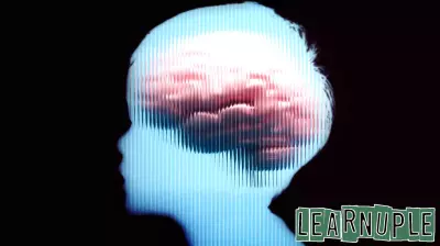 Key Insights from Recent Report on AI Risks in Education