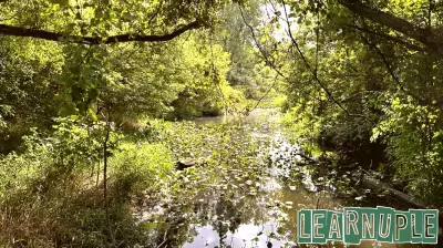 Ohio EPA Allocates Over $336,000 for Environmental Education Initiatives