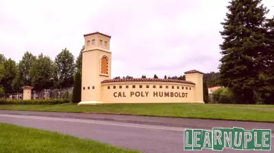 Trump Initiates Investigations into California Colleges Over Diversity Programs