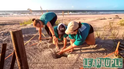 UNC-‘Sea’-W: Advancing Turtle Conservation, Education and Outreach