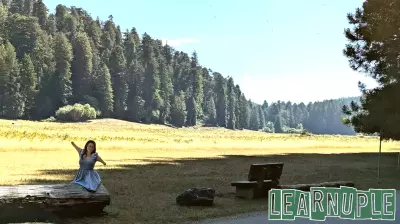 Voyager Scholar Pioneers Accessibility in Travel and Education